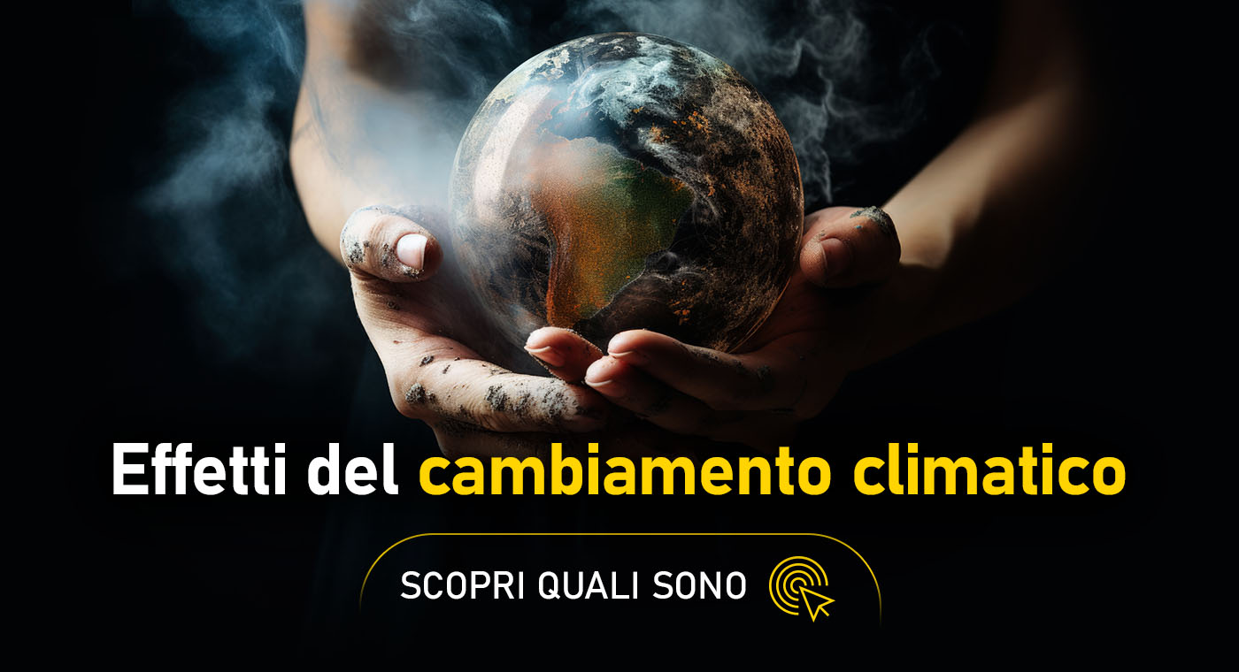 Quali sono gli effetti del cambiamento climatico? Scoprilo